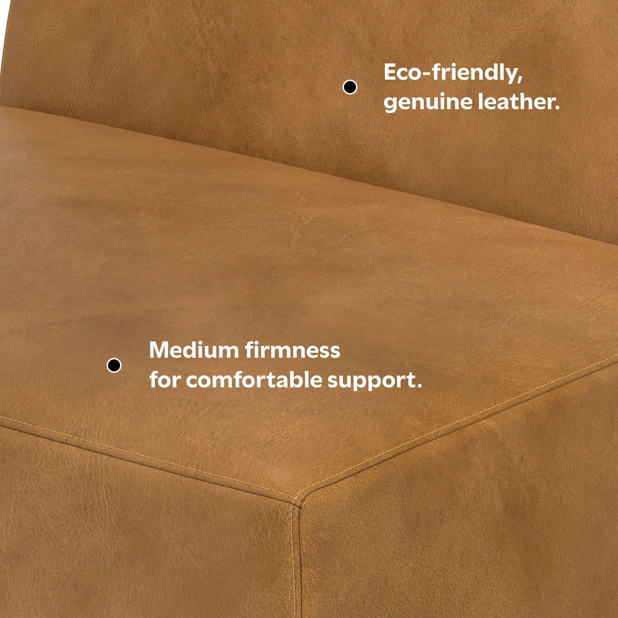 Rex - Center Sofa Module by HouseOfZazla