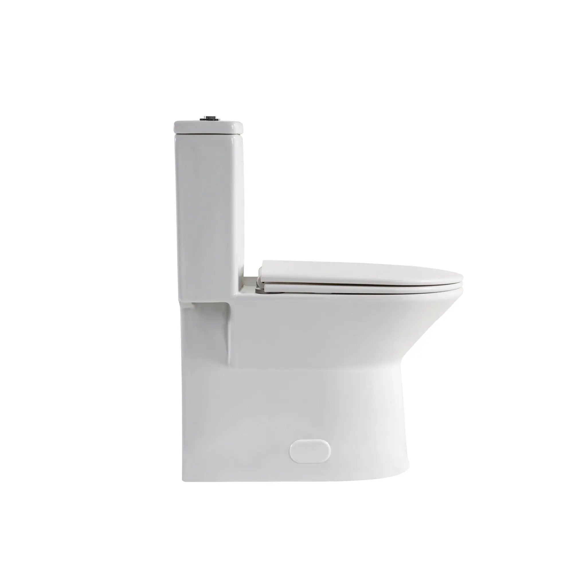 1 Piece Toilet With Dual Flush & Rimless Bowl - Glossy White by HouseOfZazla
