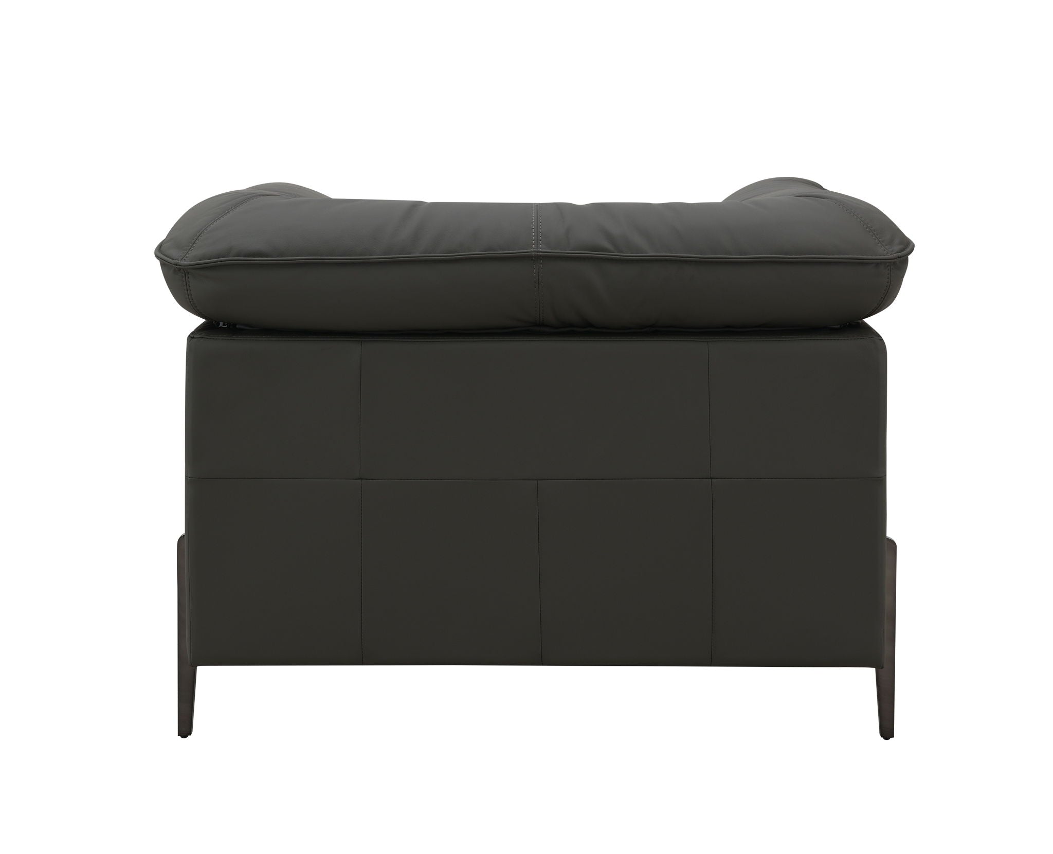 Tadi - Top Grain Leather Chair - Black by HouseOfZazla