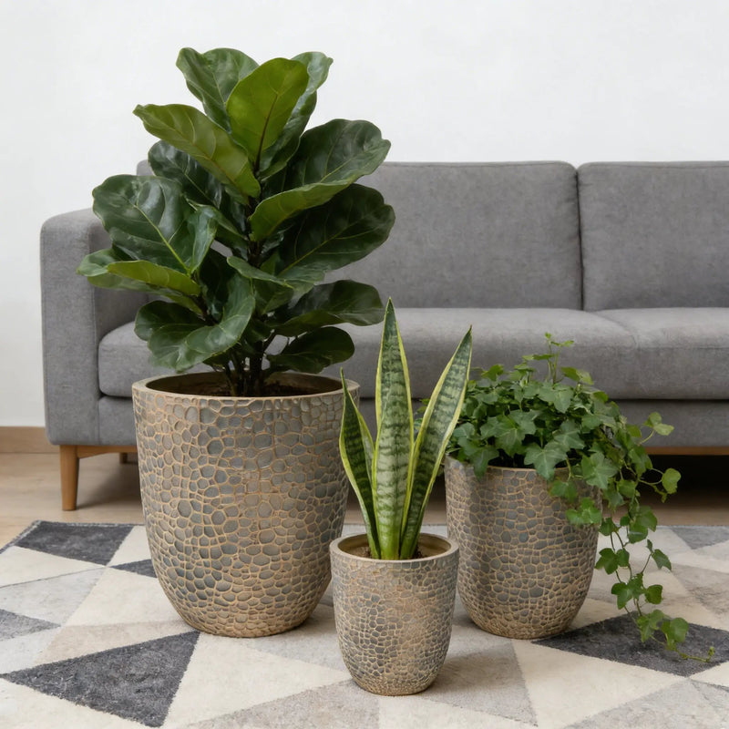 Large Outdoor Indoor Planter Set of 3 by HouseOfZazla