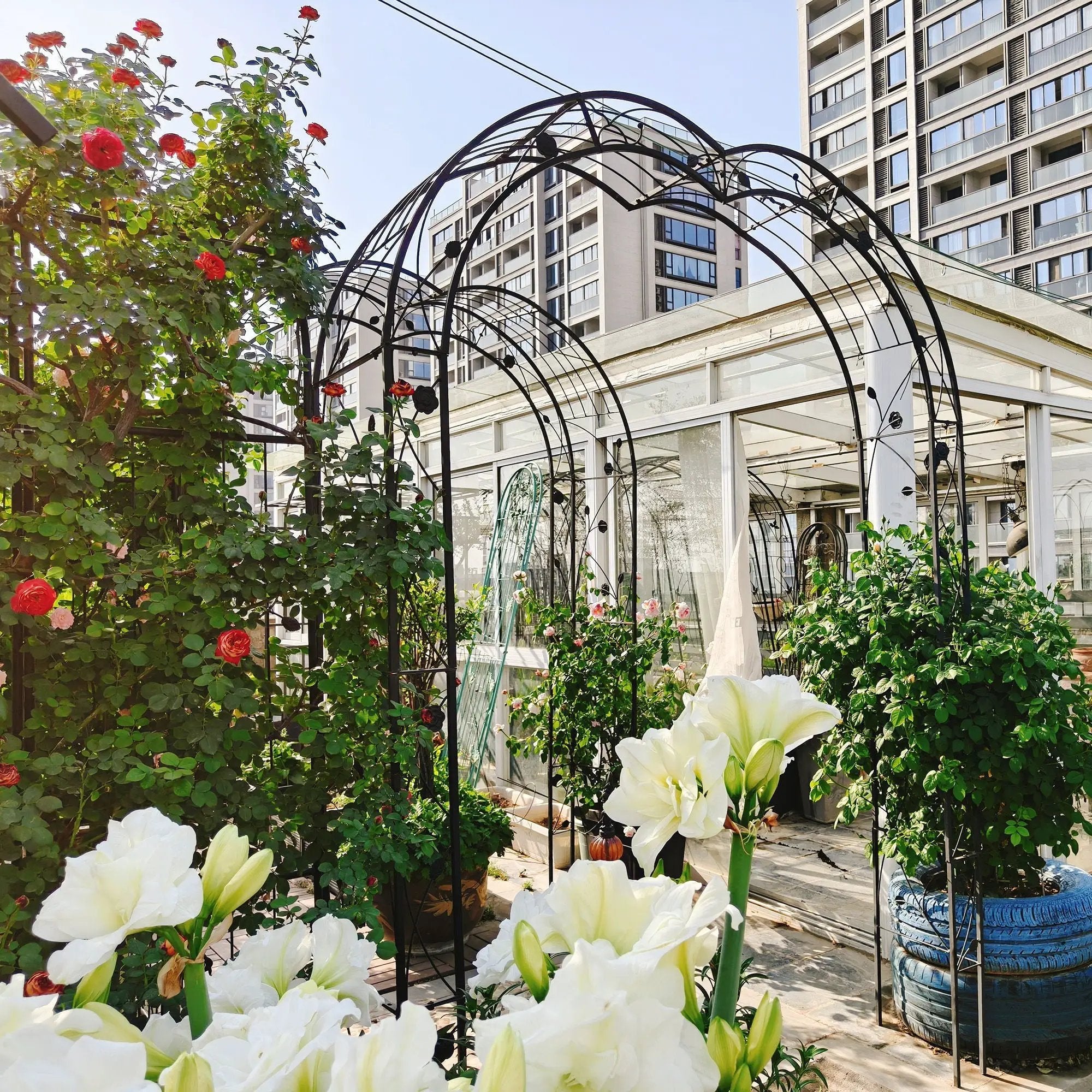 Metal Garden Arch Assemble Freely With 8 Styles Garden Arbor Trellis Climbing Plants Support Rose Arch by HouseOfZazla