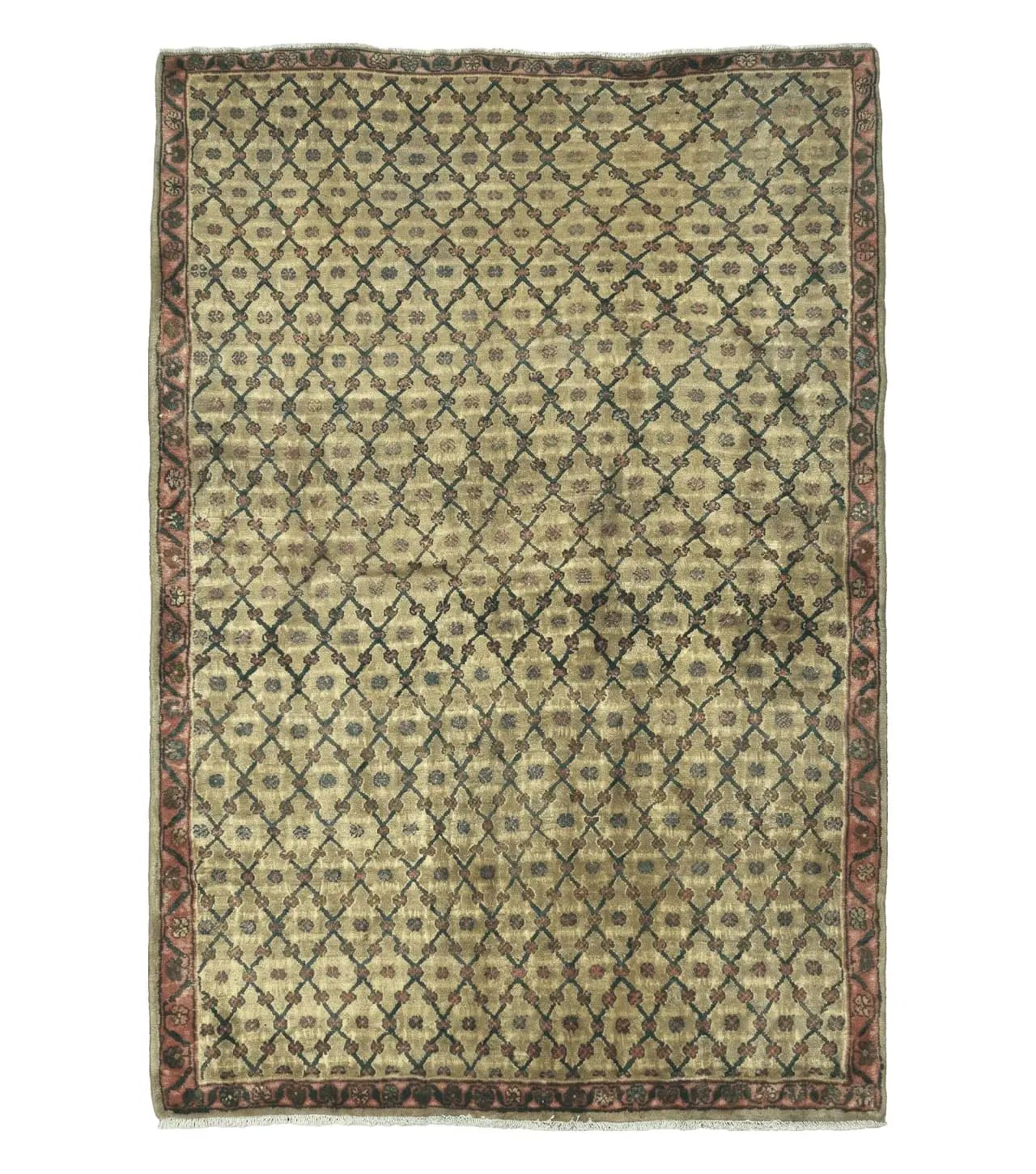 4' X 6' Handmade Indian Allover Wool Rug Camel Hair Color #119 by Jewel Rugs