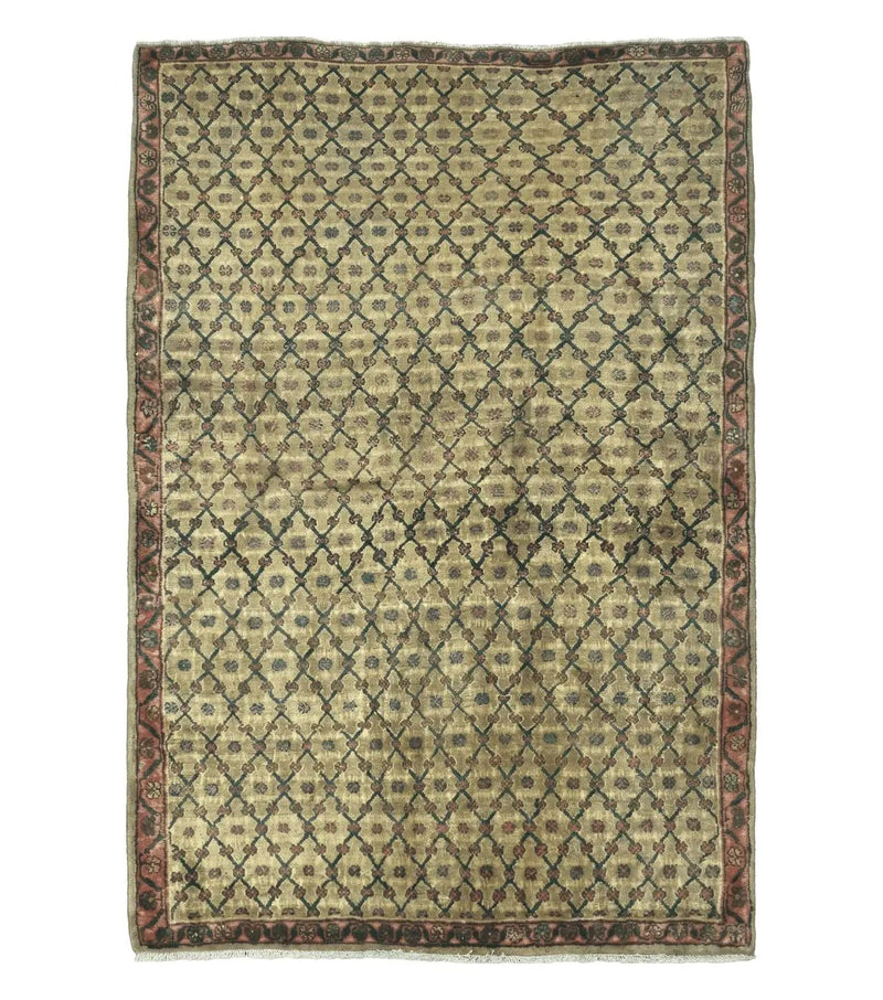 4' X 6' Handmade Indian Allover Wool Rug Camel Hair Color #119 by Jewel Rugs