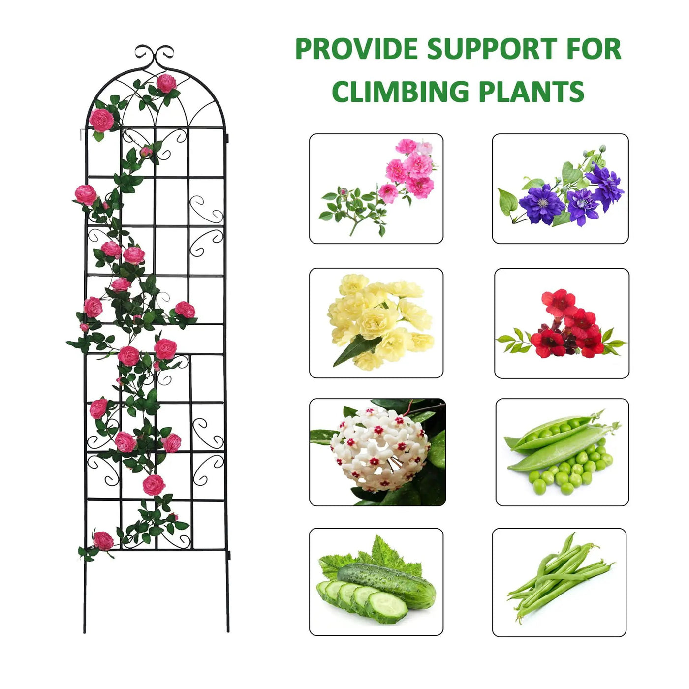 Metal Garden Rustproof Trellis For Climbing Plants Outdoor Flower Support by HouseOfZazla