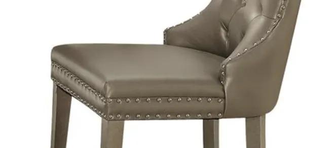 Kacela Synthetic Leather Side Chair Set of 2 - Champagne by HouseOfZazla