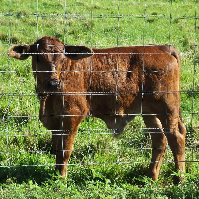 5x164 ft Advanced Weave Farm Enclosures by HouseOfZazla