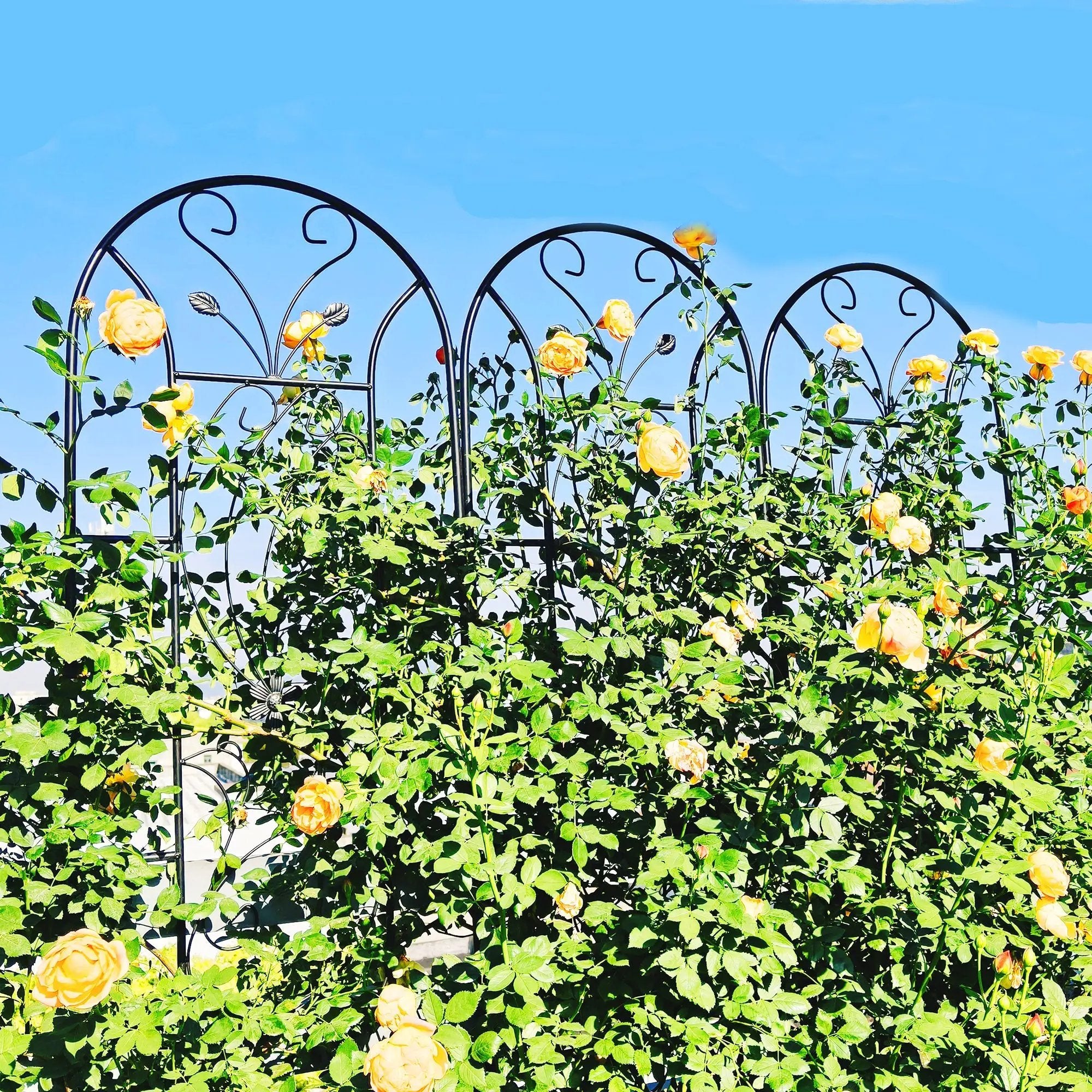 4 Pack Metal Garden Trellis by HouseOfZazla
