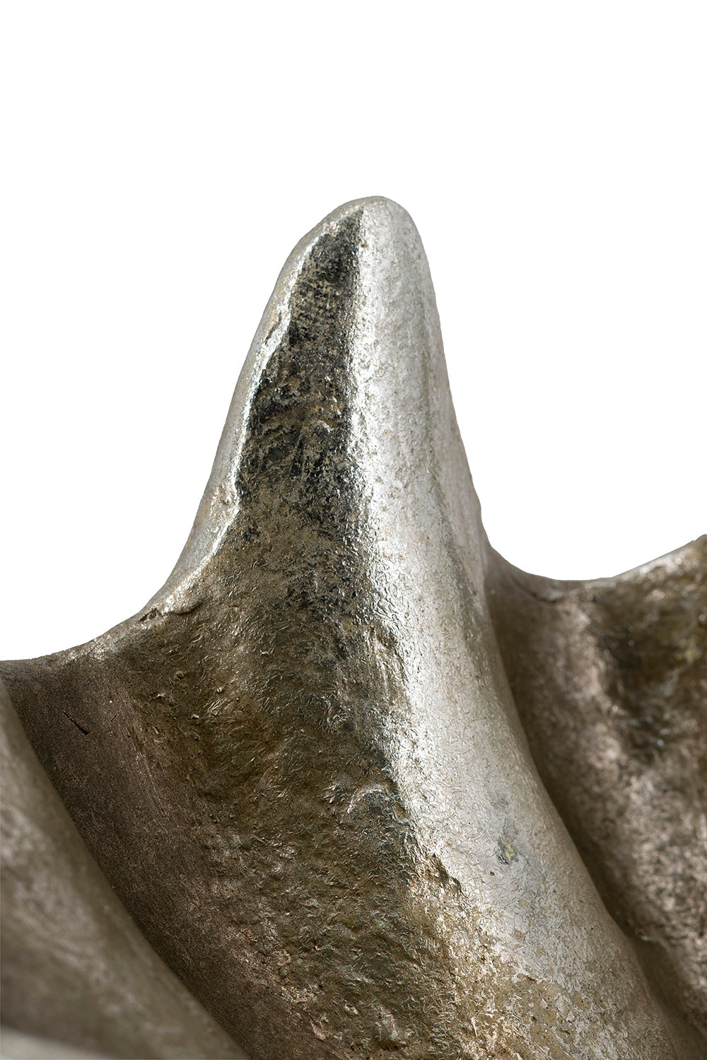 Silver Decorative Shell Bowl with Coastal Shell Design - Silver, photo 8 of 10