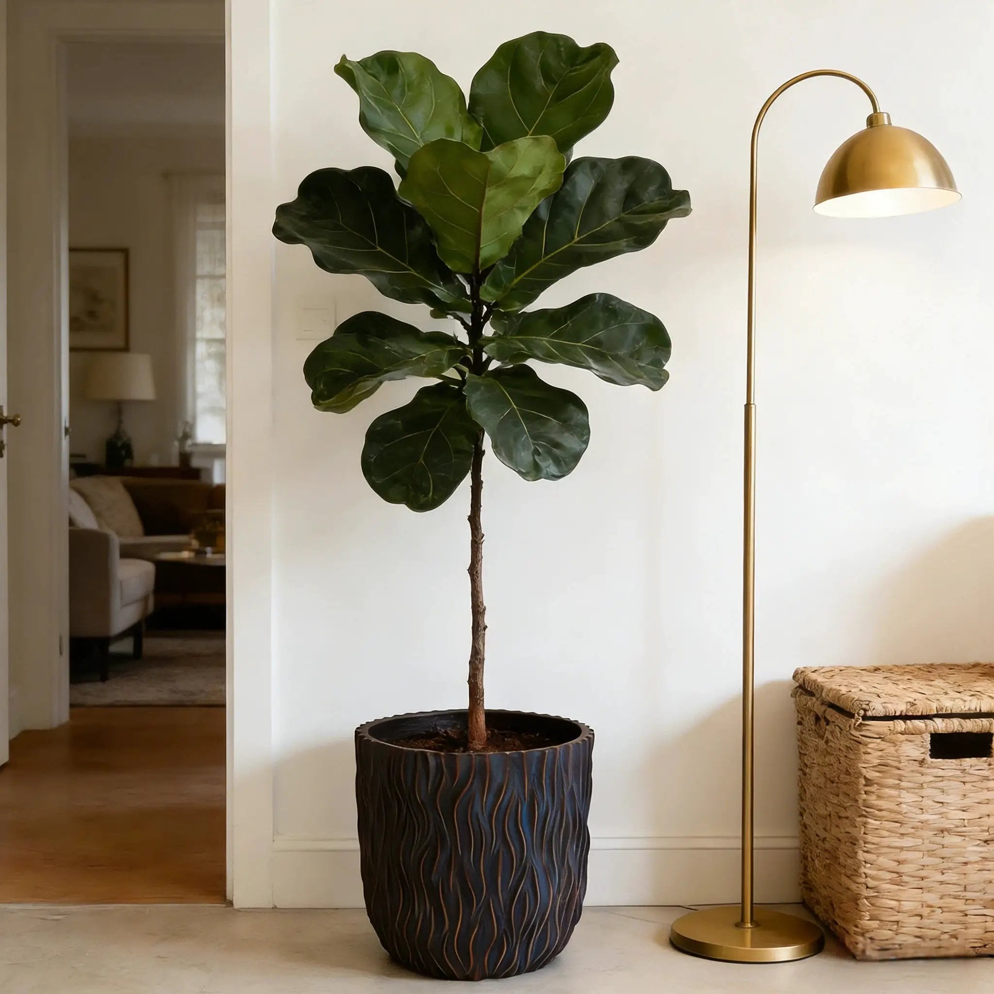 Large Round Planters Set of 2 by HouseOfZazla