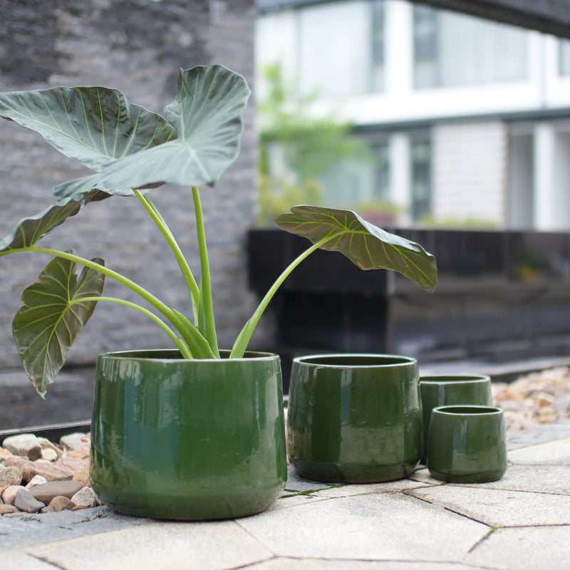 Handmade Solid Glazed Ceramic Planter Set of 4 by HouseOfZazla