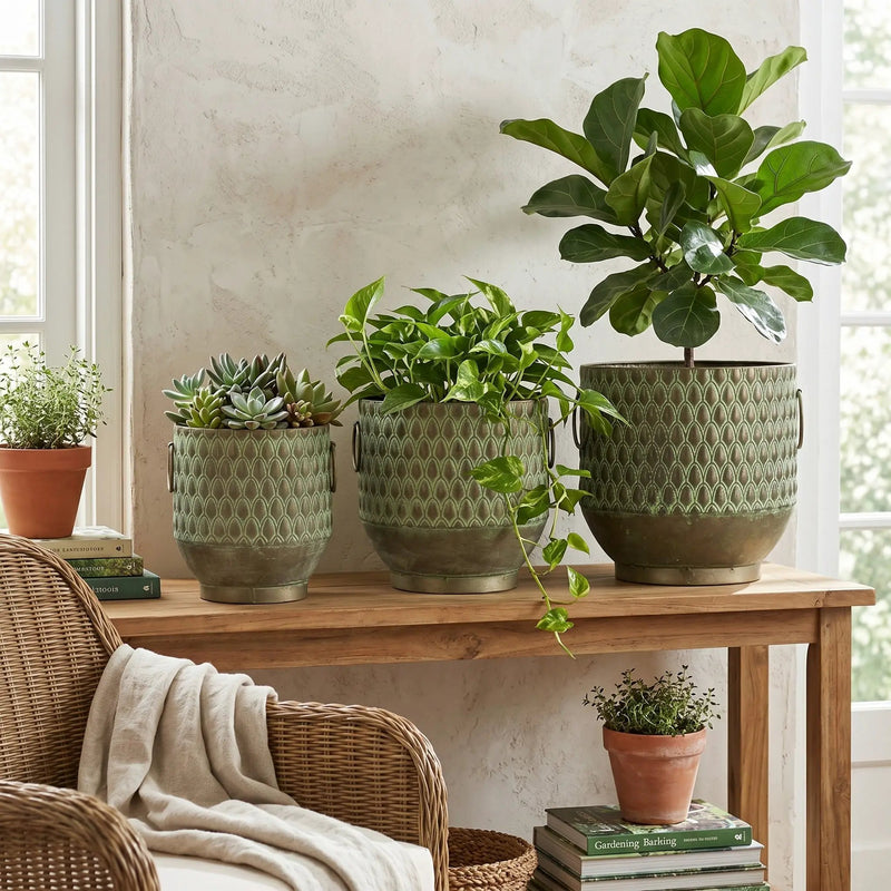 S/3 Textured Planters Set by HouseOfZazla