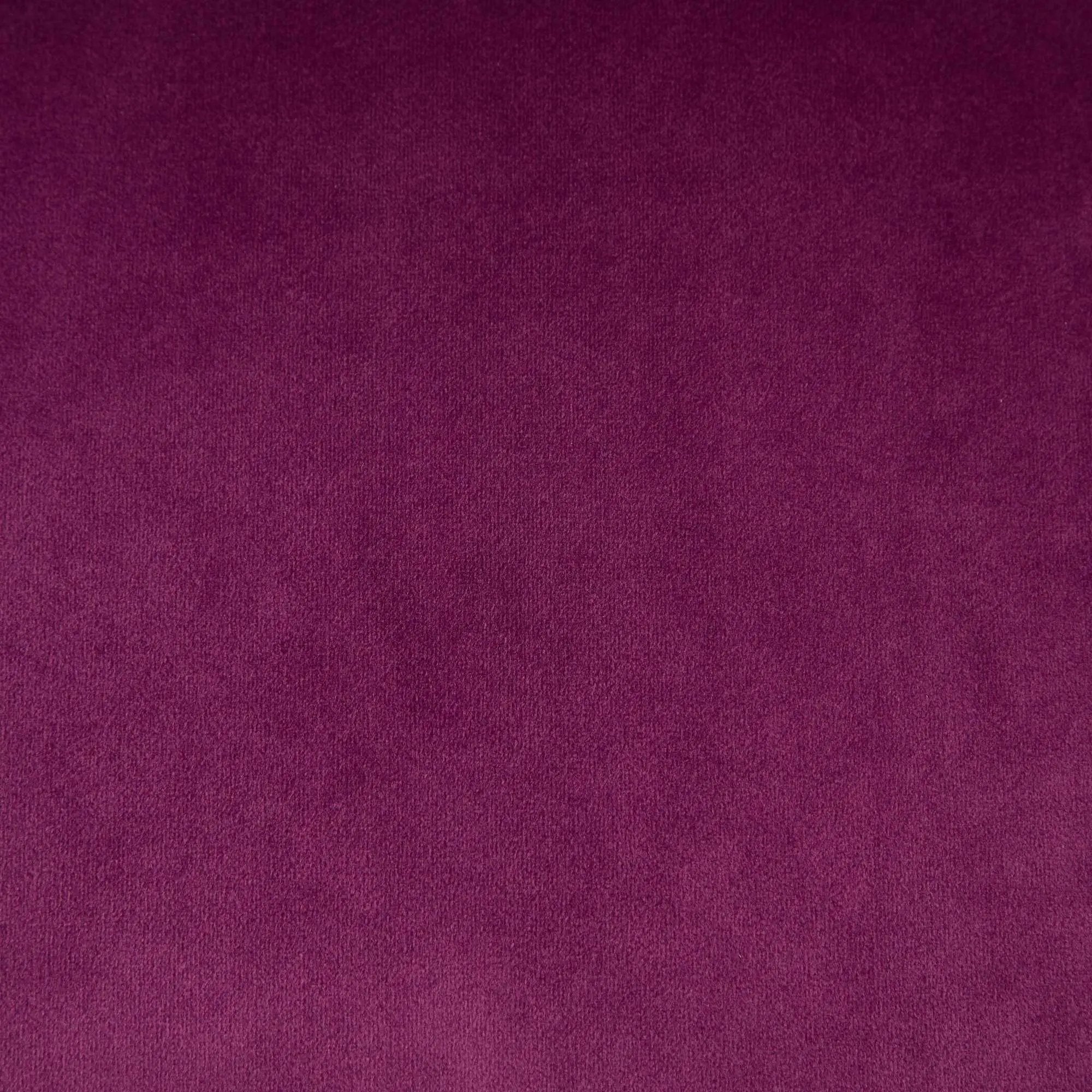 Office Chair Modern Velvet Upholstered Tufted Button (Purple) by HouseOfZazla