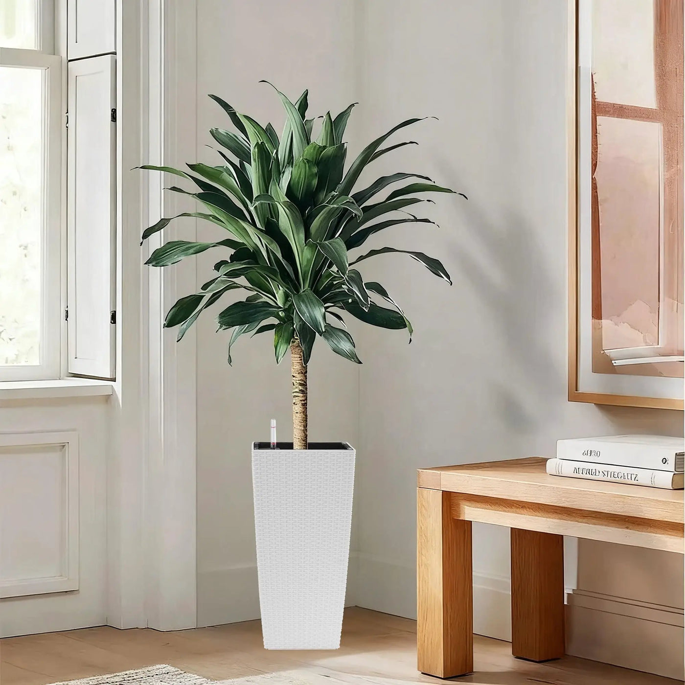 Indoor Outdoor Planter With Automatic Watering System by HouseOfZazla