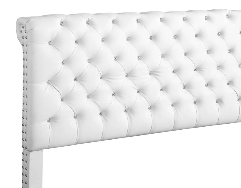 Elegant Transitional Upholstered Bed by HouseOfZazla