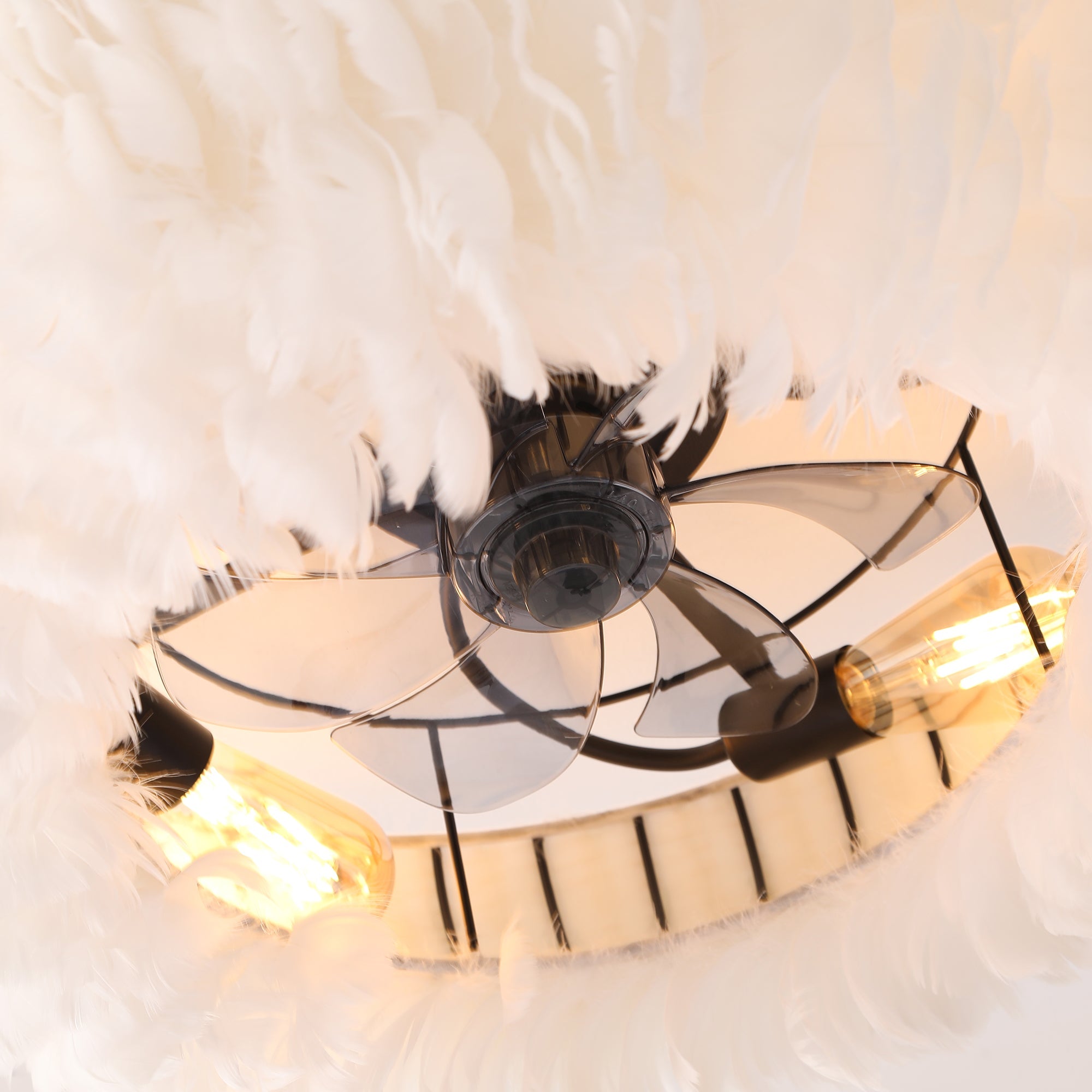 20" Feather-Dressed Caged Ceiling Fan with Remote and Light by HouseOfZazla