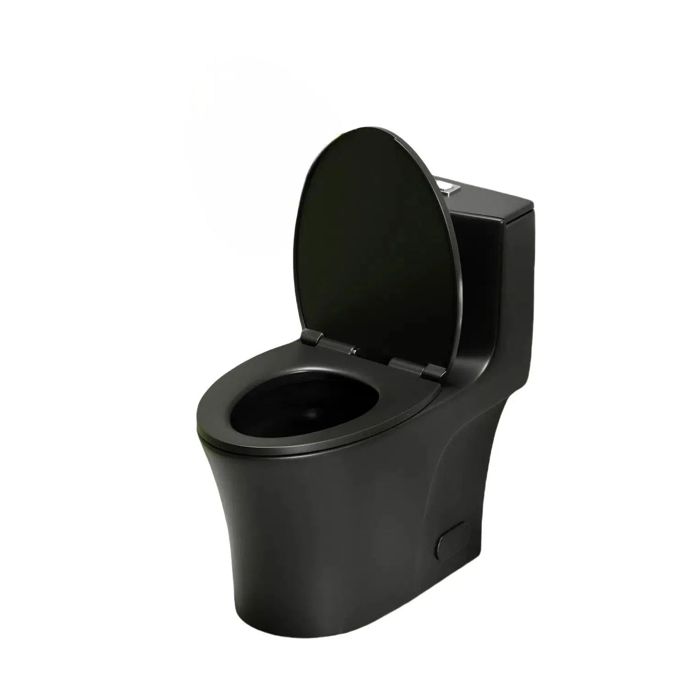 1 Piece Toilet With Dual Flush And Soft Closing Seat by HouseOfZazla