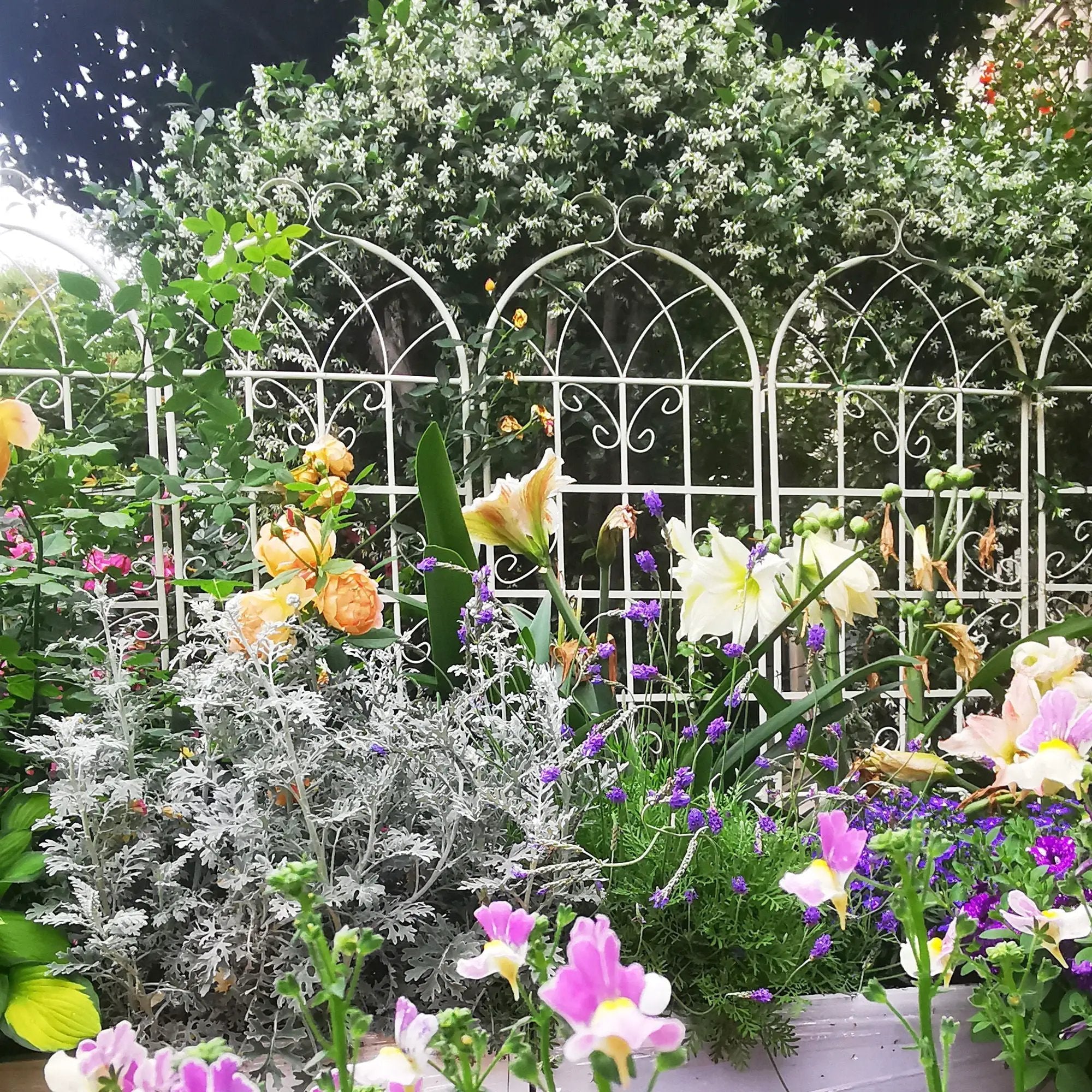 Metal Garden Rustproof Trellis For Climbing Plants Outdoor Flower Support by HouseOfZazla