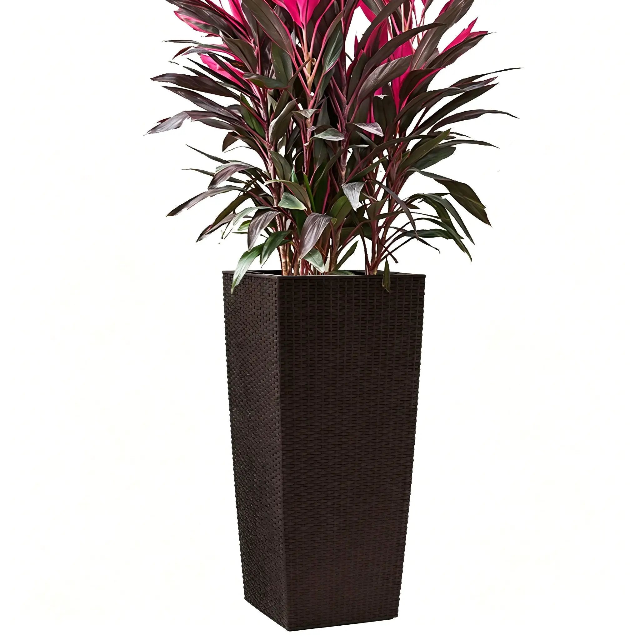 Indoor Outdoor Planter With Automatic Watering System by HouseOfZazla
