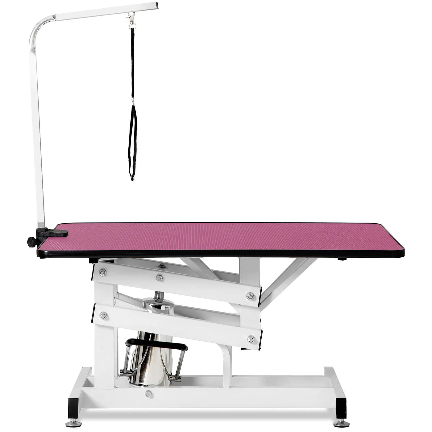 Hydraulic Pet Grooming Table by HouseOfZazla