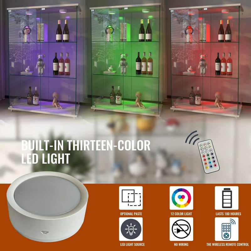 Modern Display Cabinet With LED Lights, Transparent Tempered Glass 2 Door Storage Case With 3 Shelves by HouseOfZazla
