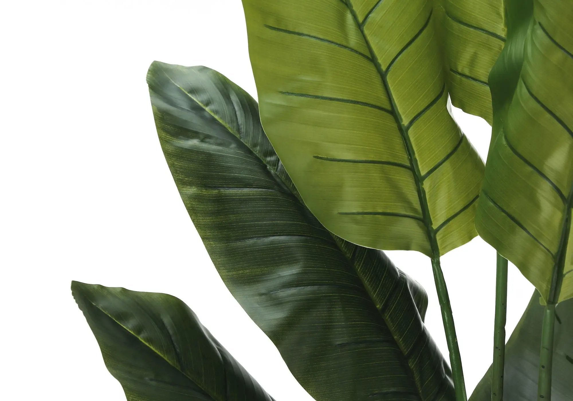 59" Tall, Artificial Plant, Strelitzia Tree, Indoor, Faux, Fake, Floor, Greenery, Potted, Real Touch, Decorative - Green / Black by Unique Piece Furniture