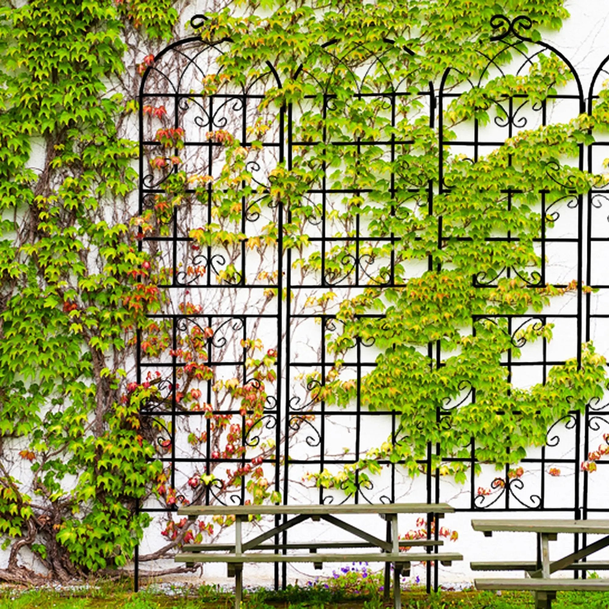 Metal Garden Trellis 4 Pack Rustproof Climbing Plant Supports by HouseOfZazla