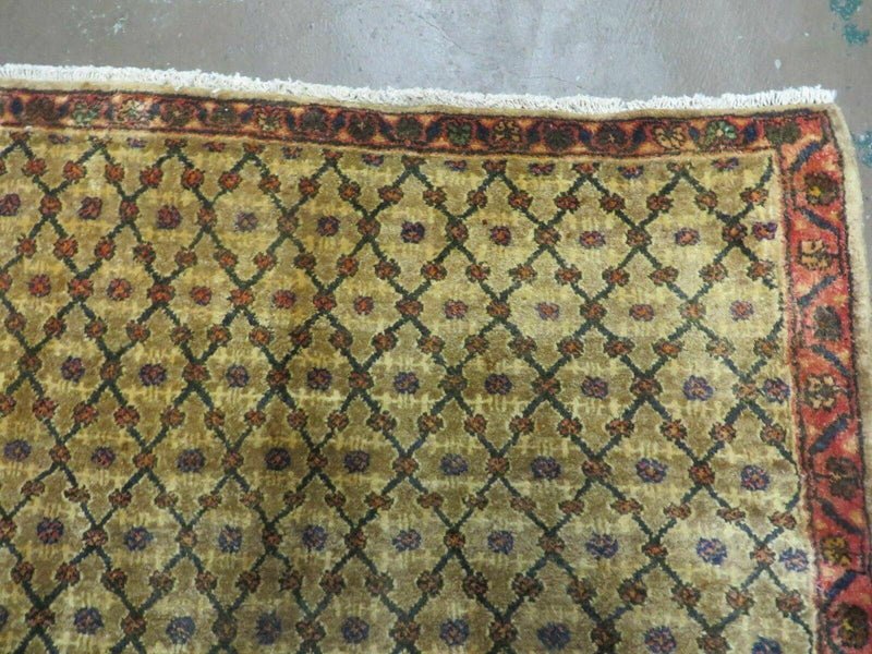 4' X 6' Handmade Indian Allover Wool Rug Camel Hair Color #119 by Jewel Rugs