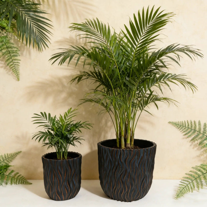 Large Round Planters Set of 2 by HouseOfZazla