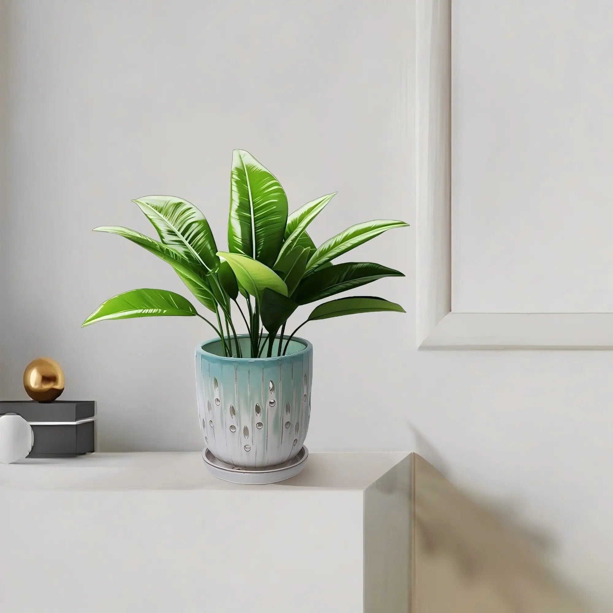 Set of 2 Ceramic Flowerpots with Drainage Hole by HouseOfZazla