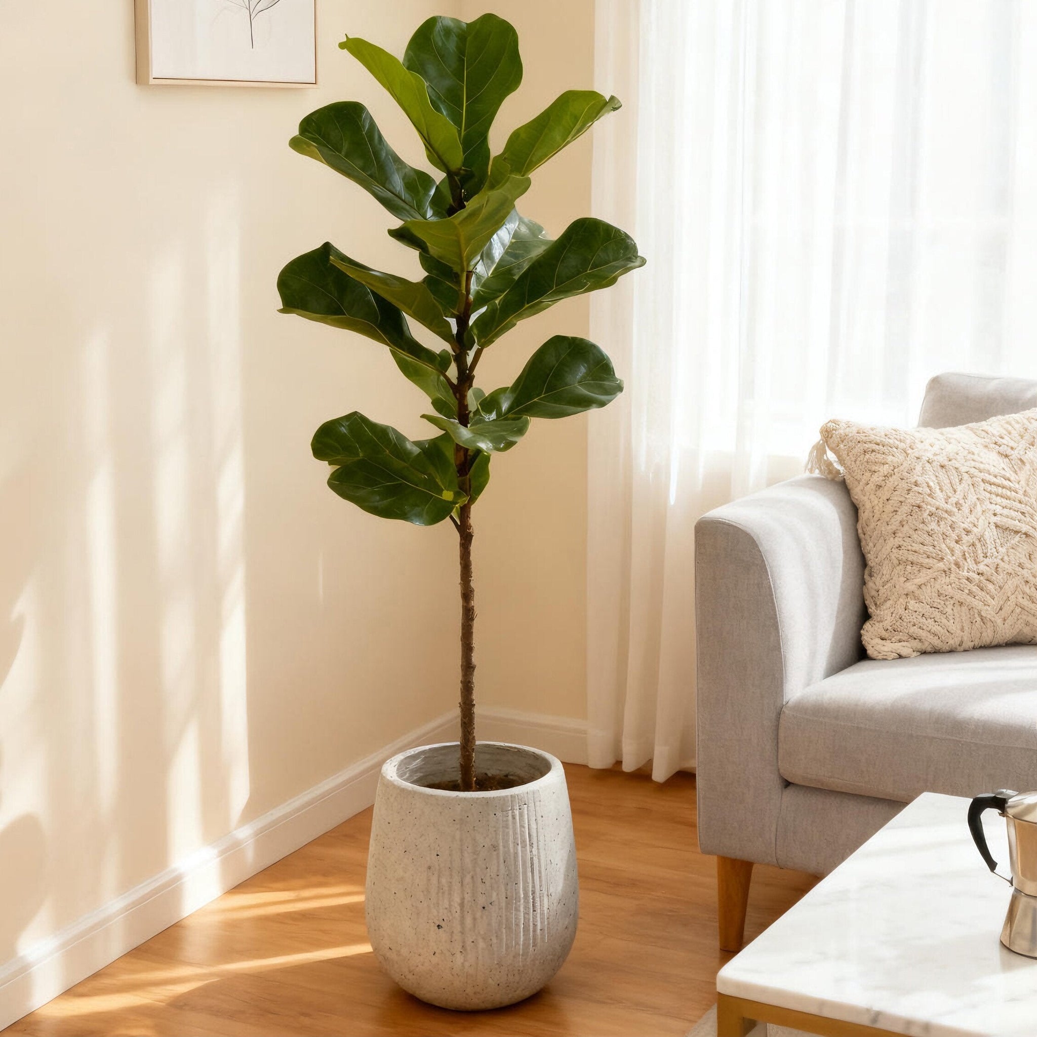 13.38' Dia x 16.14' H Large Round Planter by HouseOfZazla