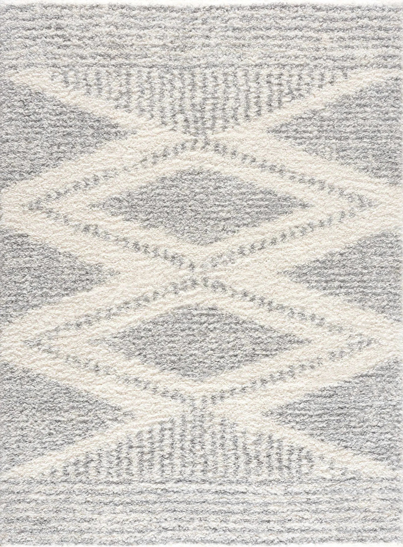Trunding Plush Area Rug in Gray by Boutique Rugs