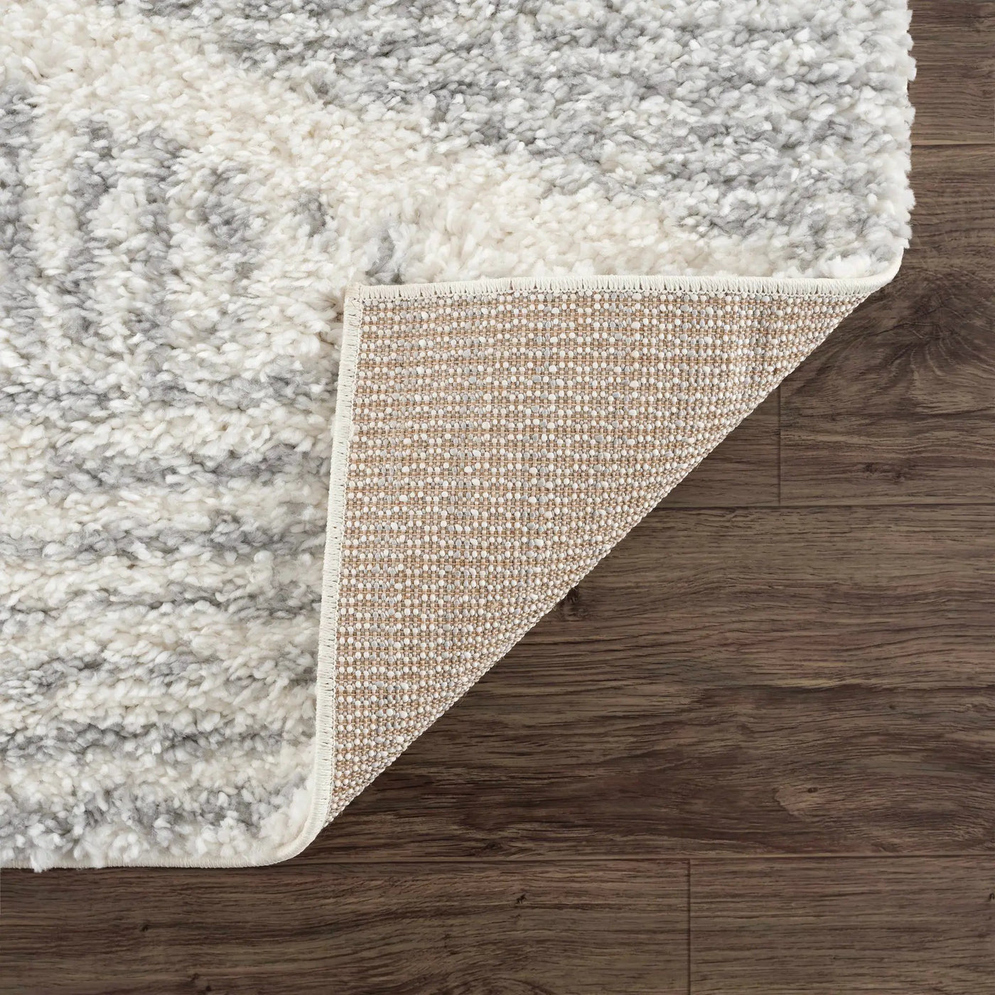 Trunding Plush Area Rug in Gray by Boutique Rugs