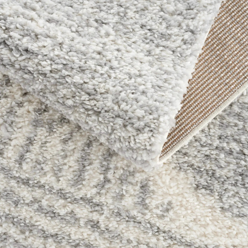 Trunding Plush Area Rug in Gray by Boutique Rugs