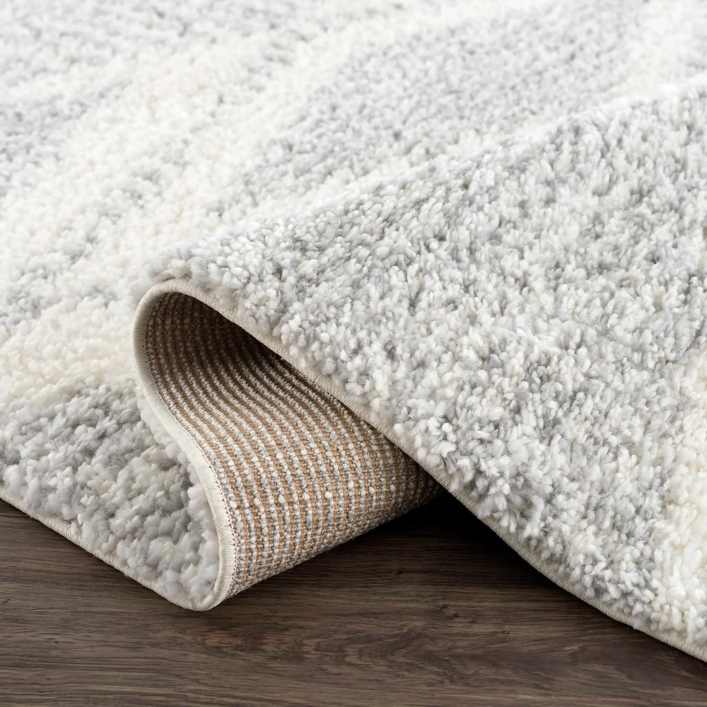 Trunding Plush Area Rug in Gray by Boutique Rugs