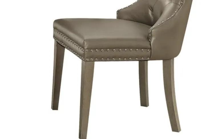 Kacela Synthetic Leather Side Chair Set of 2 - Champagne by HouseOfZazla