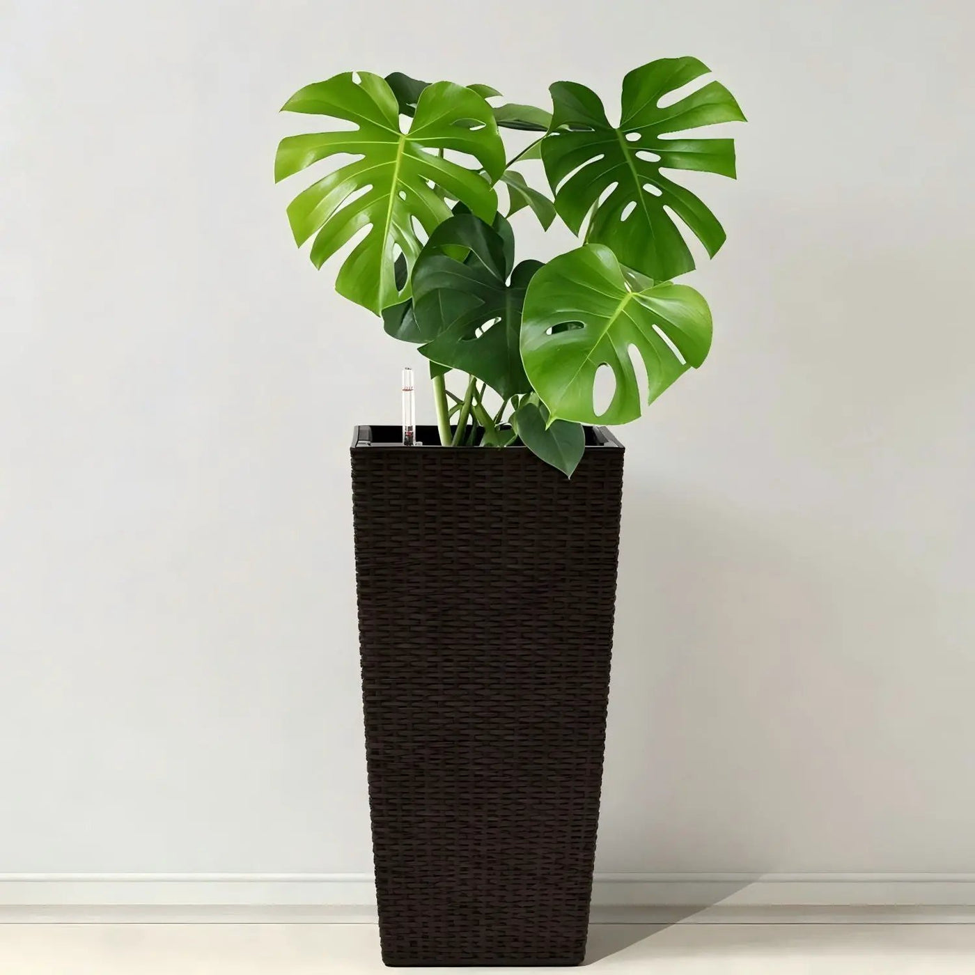 Indoor Outdoor Planter With Automatic Watering System by HouseOfZazla