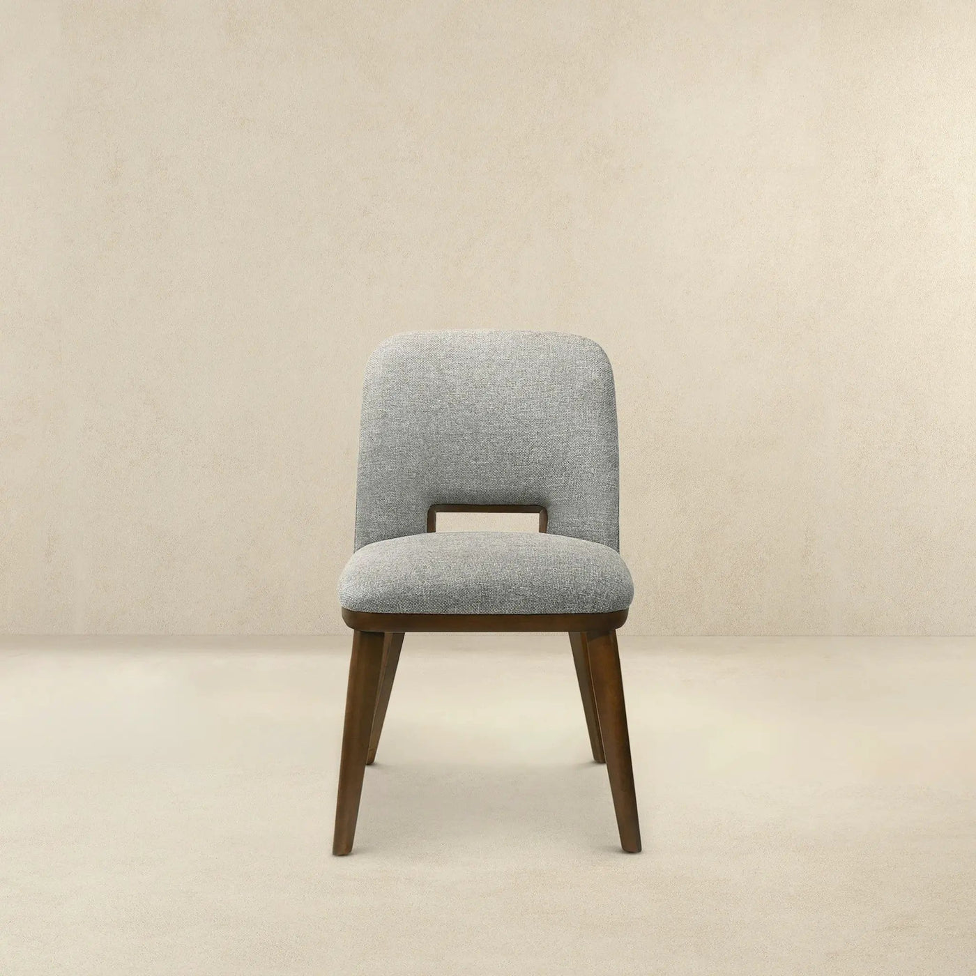 Blake - Modern Dining Chair (Set of 2) by HouseOfZazla