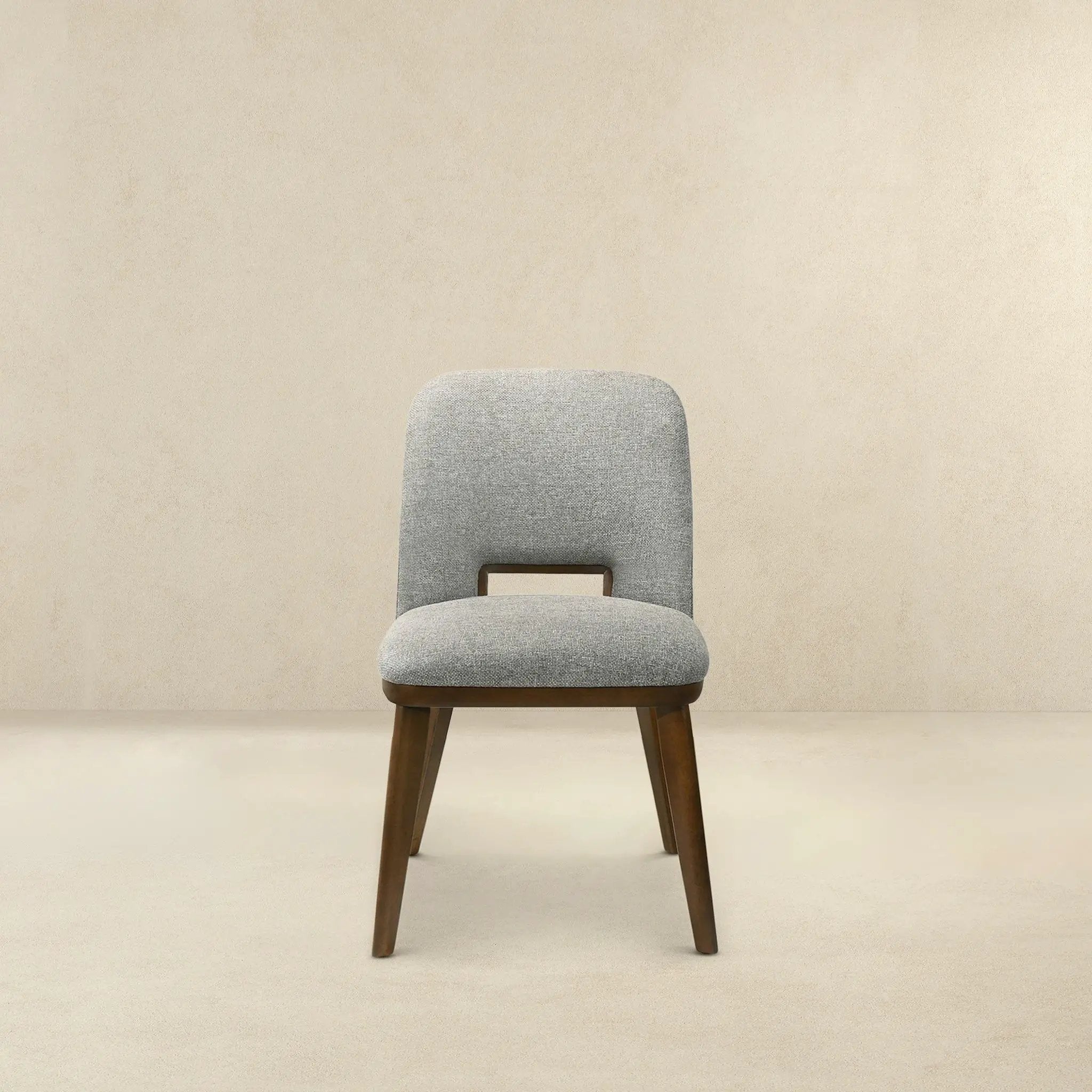 Blake - Modern Dining Chair (Set of 2) by HouseOfZazla
