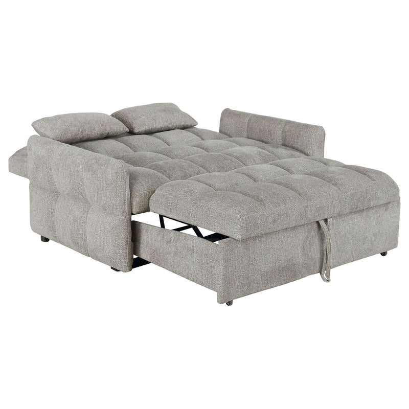 Alvara - Tufted Cushion Pull Out Sleeper Sofa Bed by HouseOfZazla
