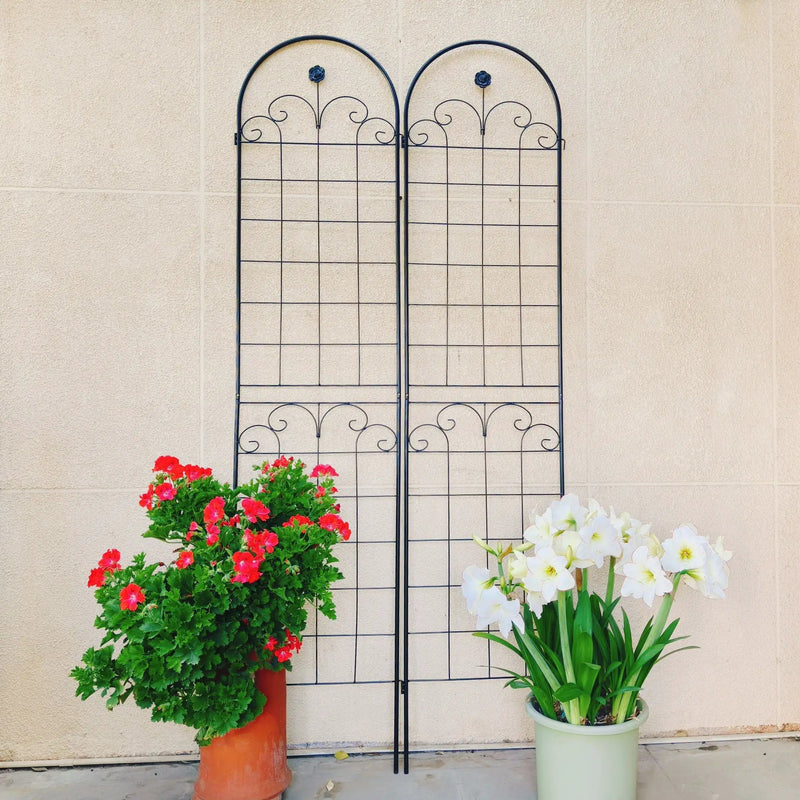 Metal Garden Trellis For Climbing Plants Outdoor Rustproof Plant Support Rose Trellis Netting Trellis by Unique Piece Furniture