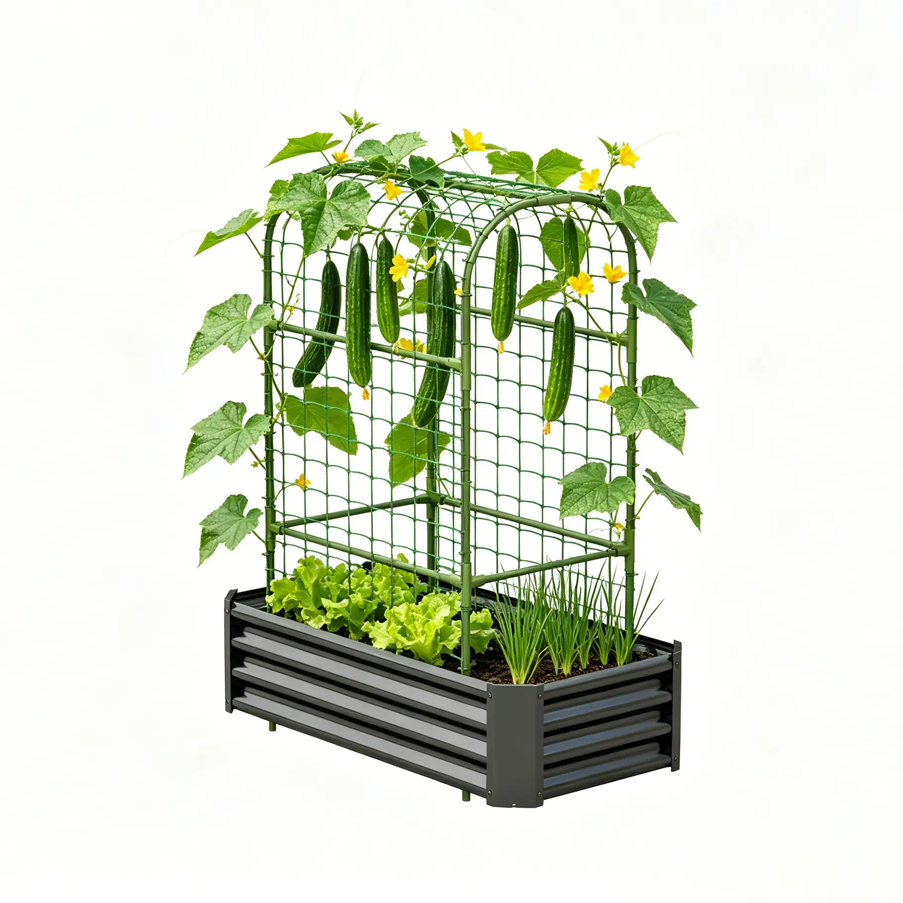 2-in-1 Raised Garden Bed with Trellis - 4x2x1 Ft Outdoor Planter by HouseOfZazla