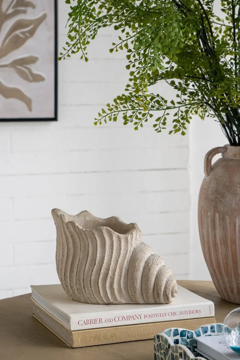 11.5x7x7' Sand and Cement Nautilus Shell Planter with Textured Beige Finish by HouseOfZazla