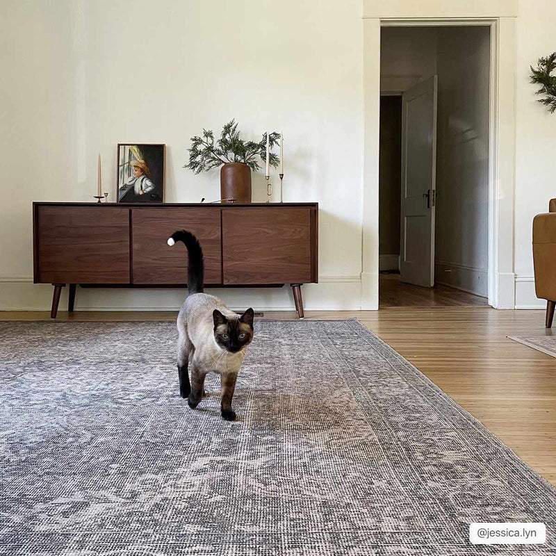Dusty Sage Greenpoint Medallion Washable Area Rug by Hauteloom
