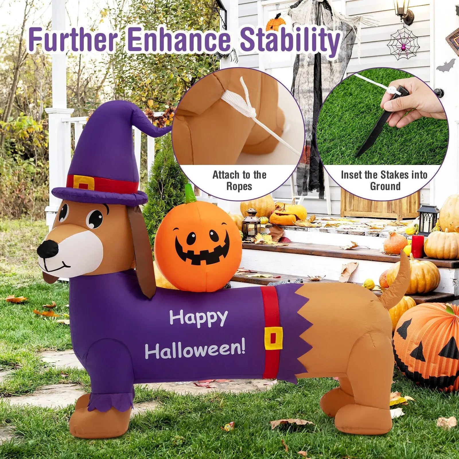 5 Feet Long Halloween Inflatable Dachshund Dog with Pumpkin by DirectDeals