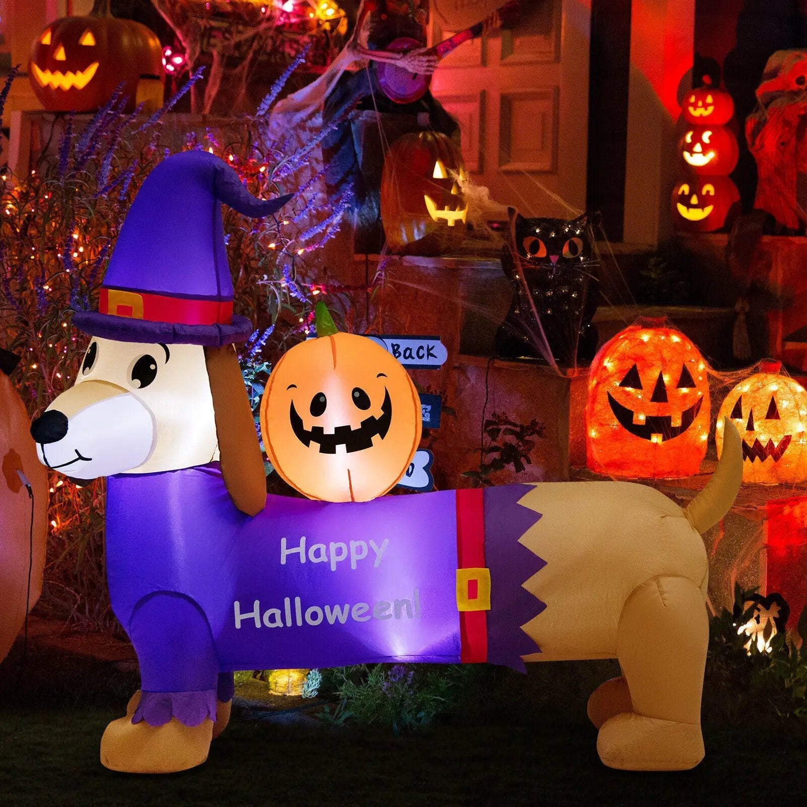 5 Feet Long Halloween Inflatable Dachshund Dog with Pumpkin by DirectDeals