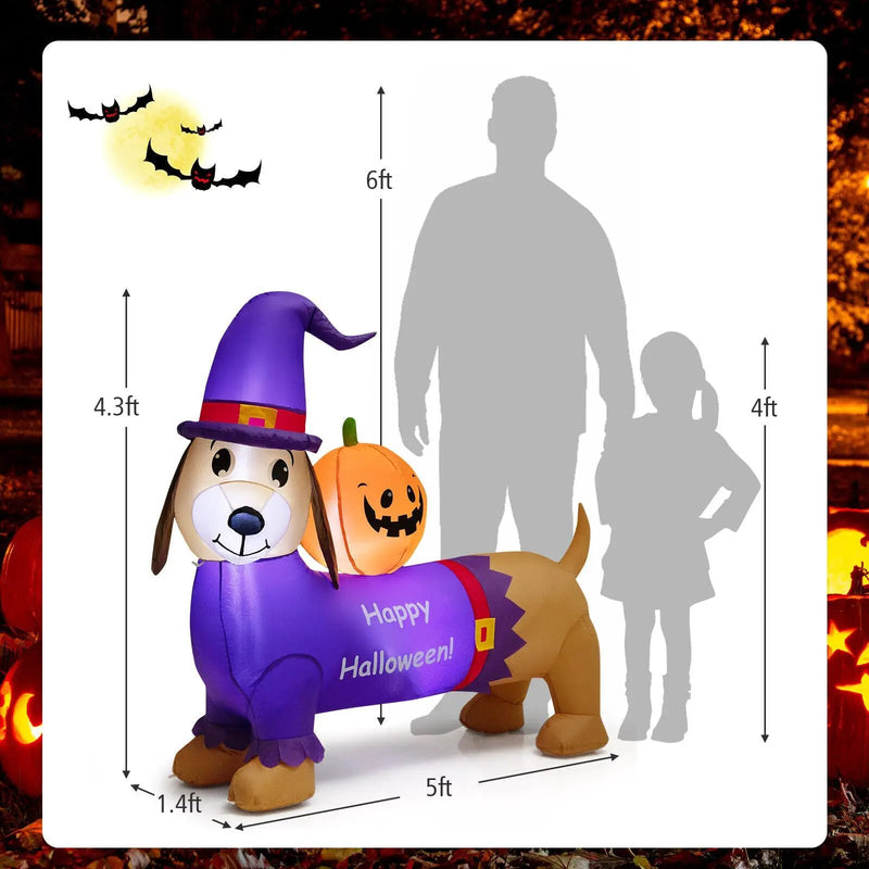 5 Feet Long Halloween Inflatable Dachshund Dog with Pumpkin by DirectDeals