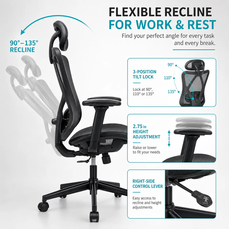 Ergonomic Office Chair with Adjustable Lumbar Support by HouseOfZazla