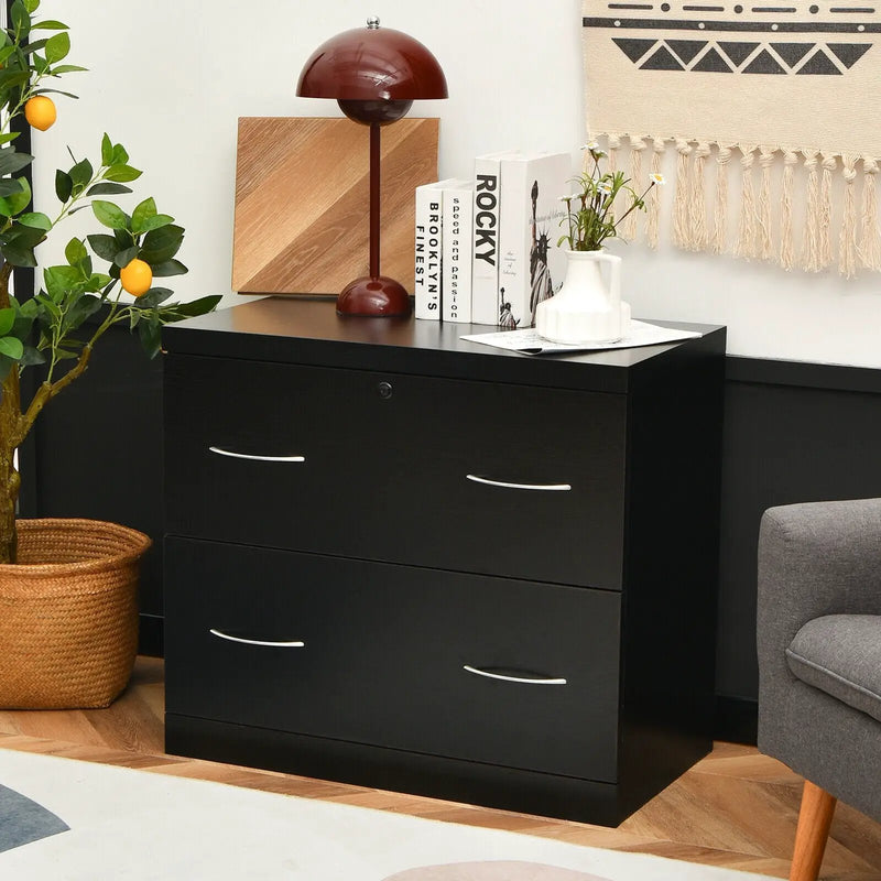 2-Drawer File Cabinet with Lock Hinging Bar Letter and Legal Size by DirectDeals