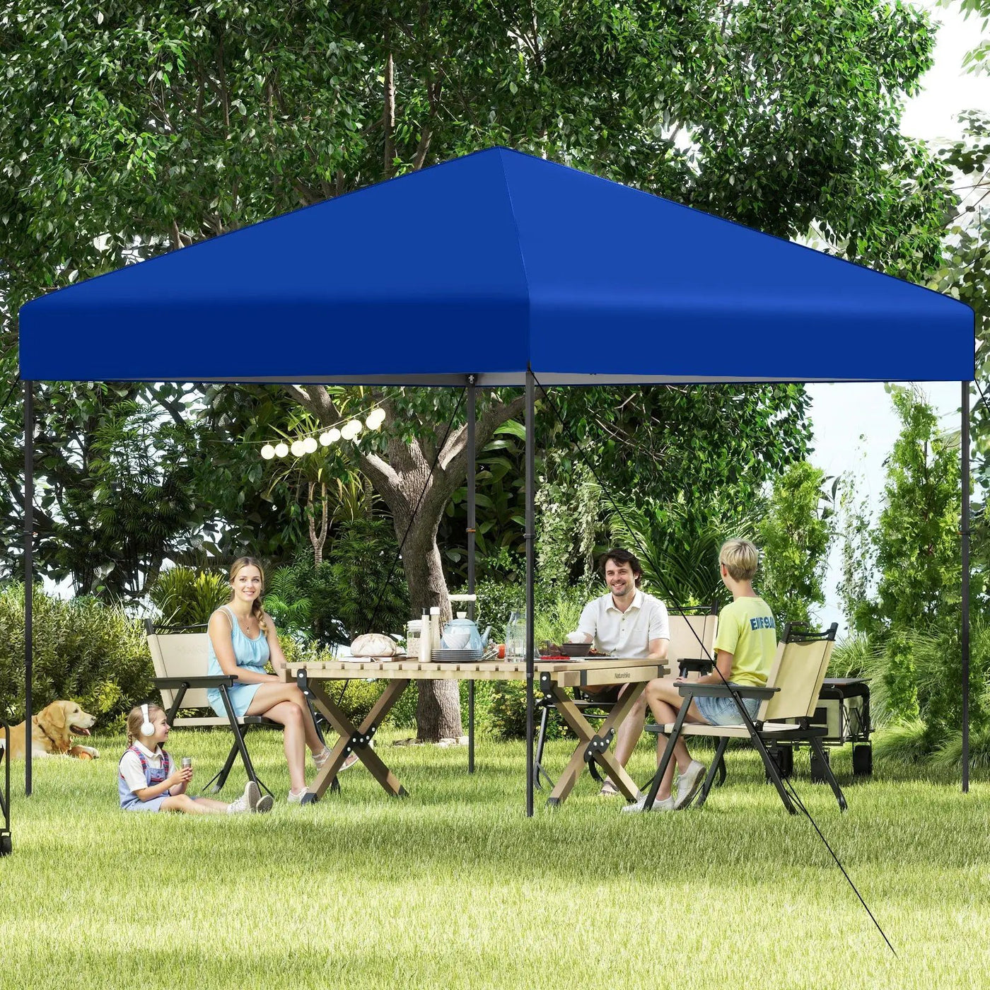 10 X 10 Feet Pop up Canopy Tent with Portable Carrying Bag and 8 Stakes by DirectDeals