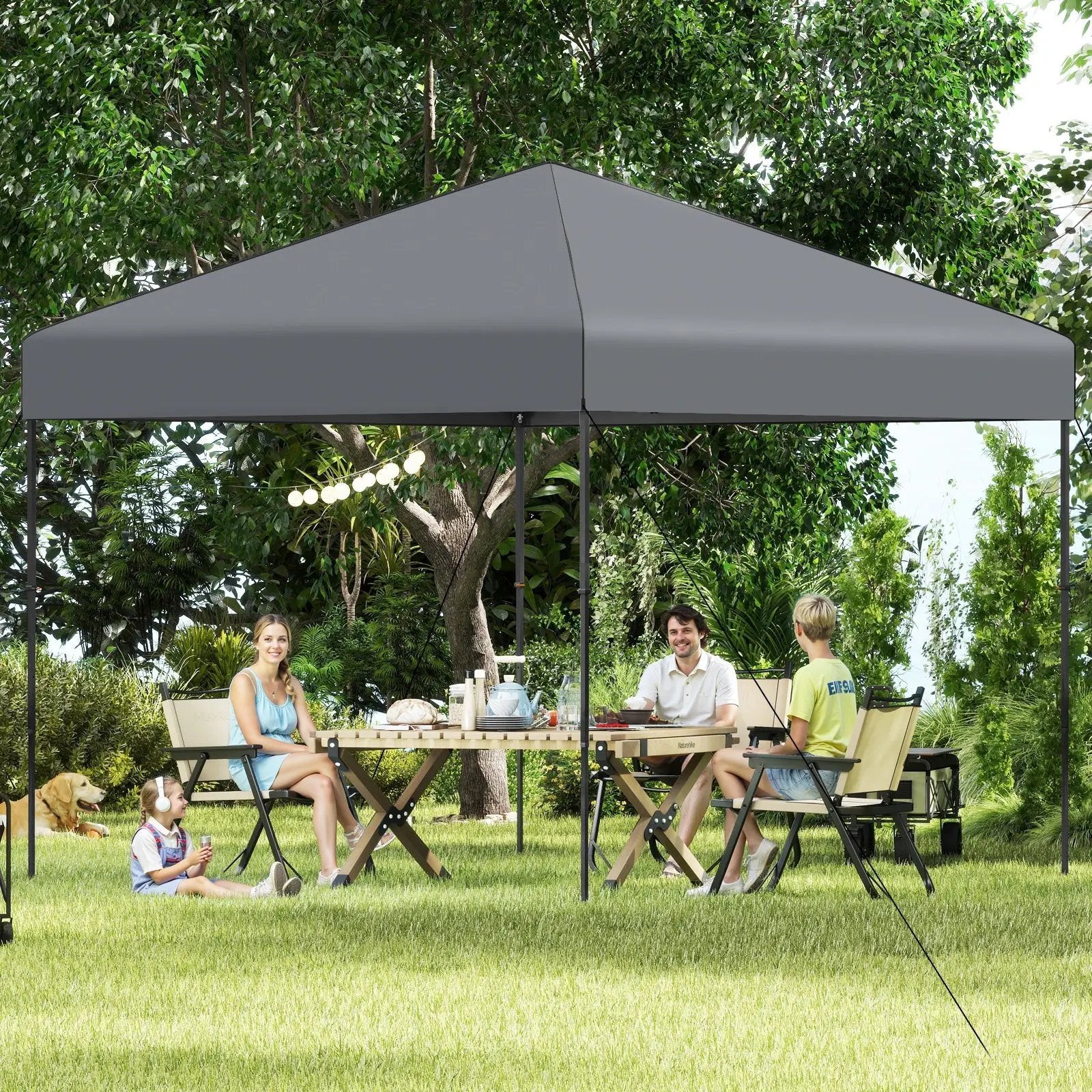 10 X 10 Feet Pop up Canopy Tent with Portable Carrying Bag and 8 Stakes by DirectDeals